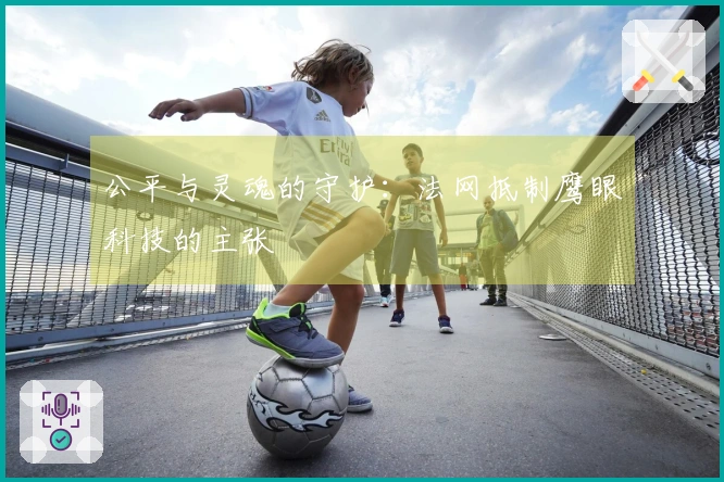 公平与灵魂的守护：法网抵制鹰眼科技的主张